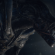 Spēlei Alien: Isolation būs turpinājums - izstrādātāji ir paziņojuši par kulta šausmu spēles turpinājumu.