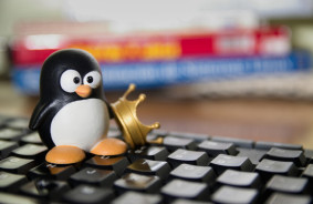 Linux tirgus daļa sasniedz jaunu rekordu - 4,4 procenti