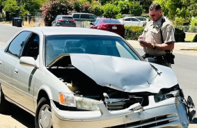 Tesla cybertruck un Toyota Camry sadursme nelielā ātrumā - pikaps gandrīz neskarts, bet sedans ļoti sasists