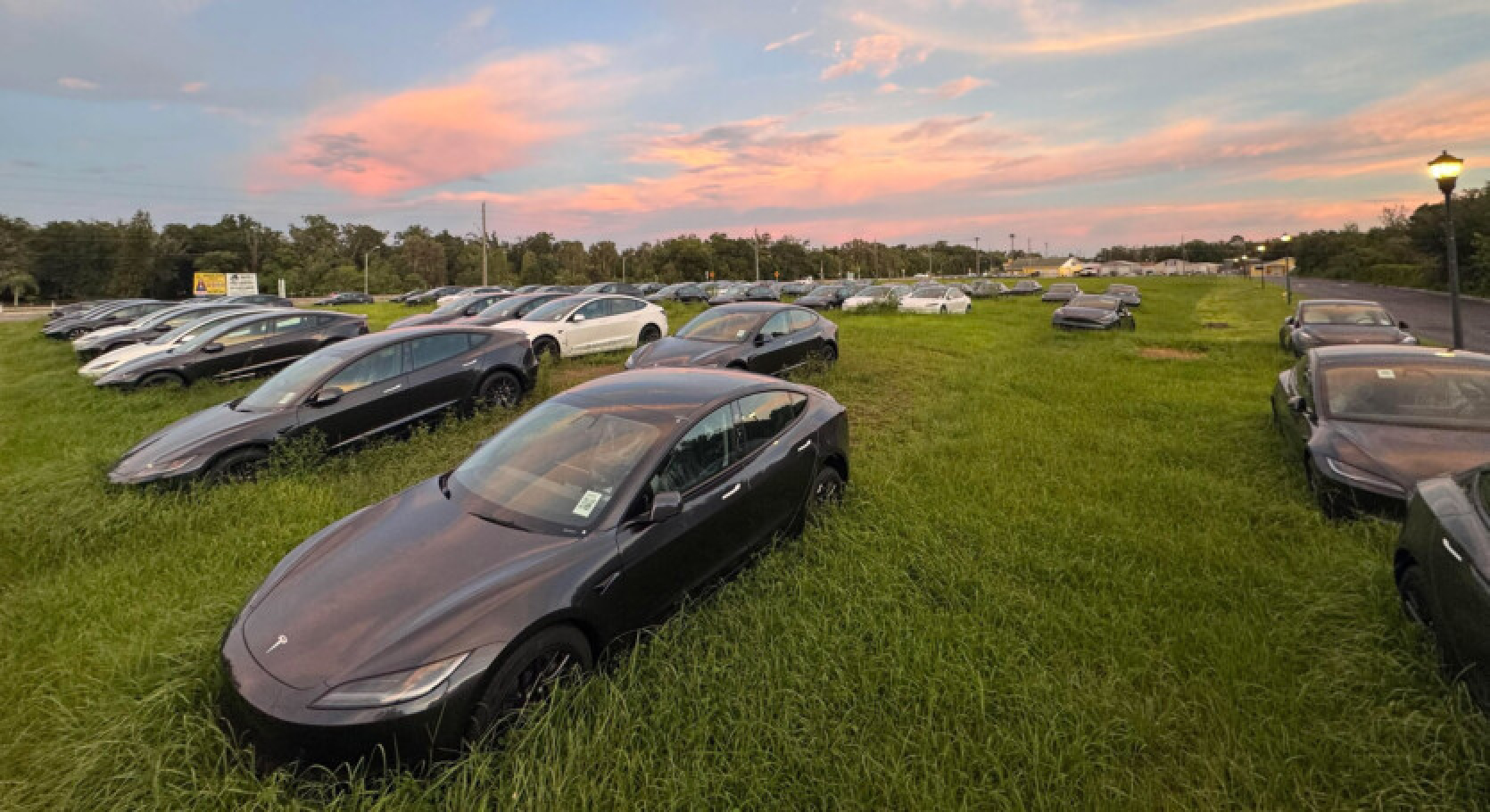 Floridā lauka vidū pamanīti simtiem pamestu Tesla Model 3 automobiļu - un tie ir pavisam jauni.